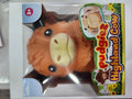 Pudgiez highland cow